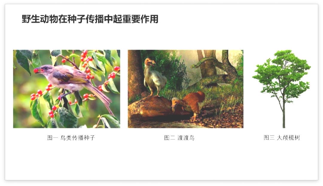 a59c17ecac32a6a725961c79eb08f24c