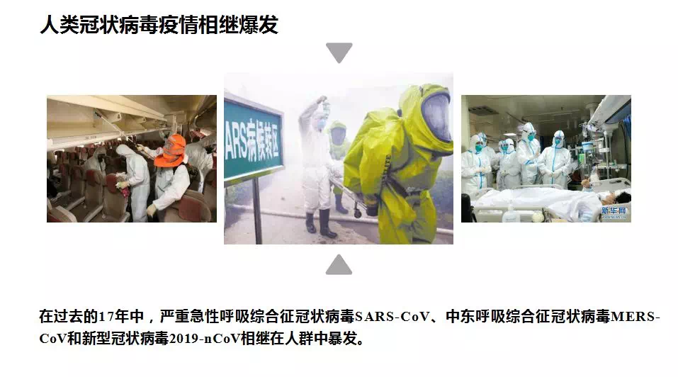 b19fbc972308f398a16b5b8fff65be5e