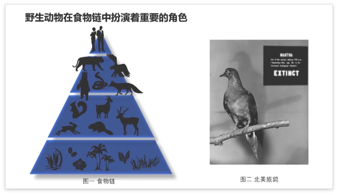 c61ef8c1a012ec29837d2556d62be37e