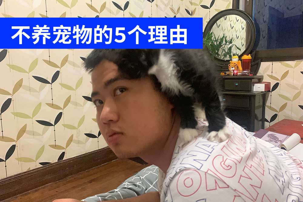 lanpengyou